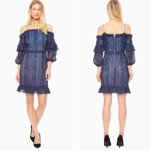 Summer Sale! Parker Irma Lace Dress in Navy - Picture 1 of 4